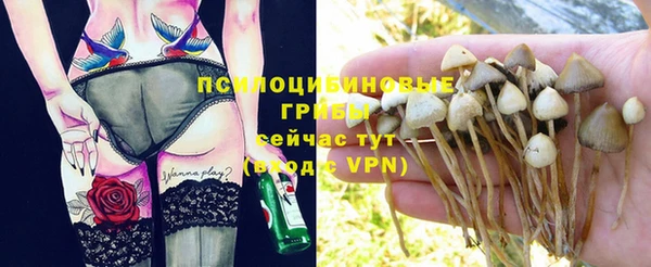 амф Володарск