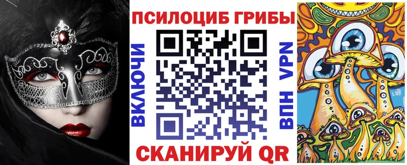 Псилоцибиновые грибы Psilocybe где купить наркотик Нальчик