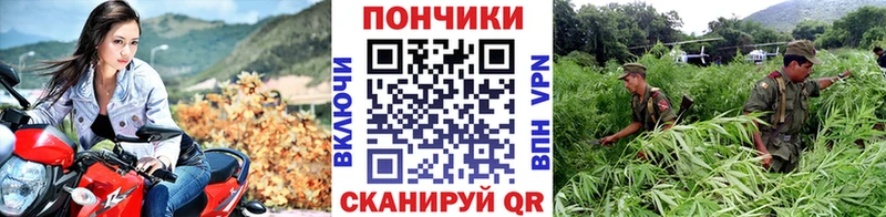 Каннабис семена Нальчик